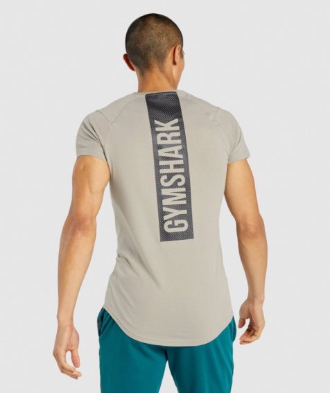 Men's Gymshark Bold T-Shirts Grey | CA 830A65